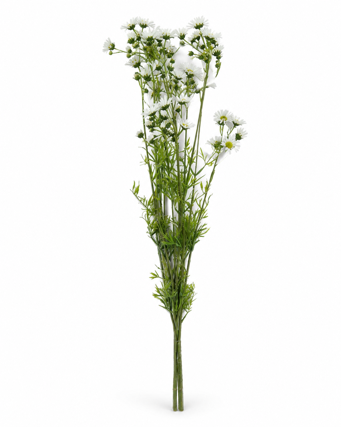 PA10451 DAISY BUNDLEx3  26"
