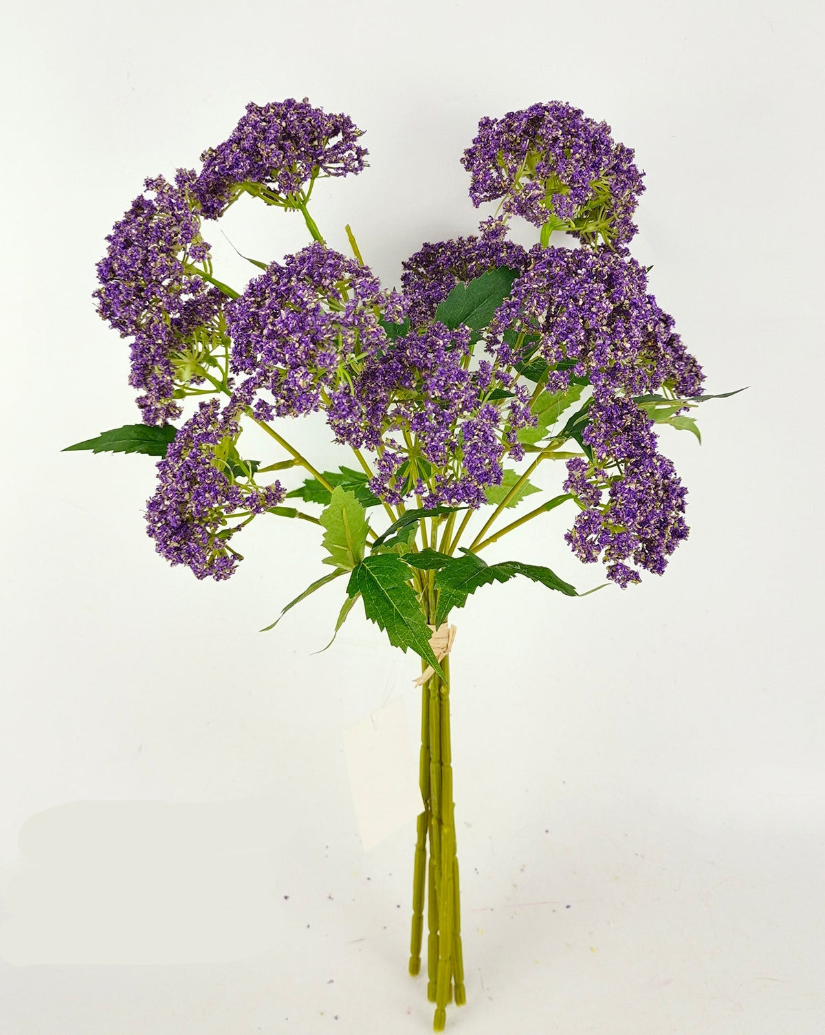 PA10457 SCALLION BUNDLEx5 17"