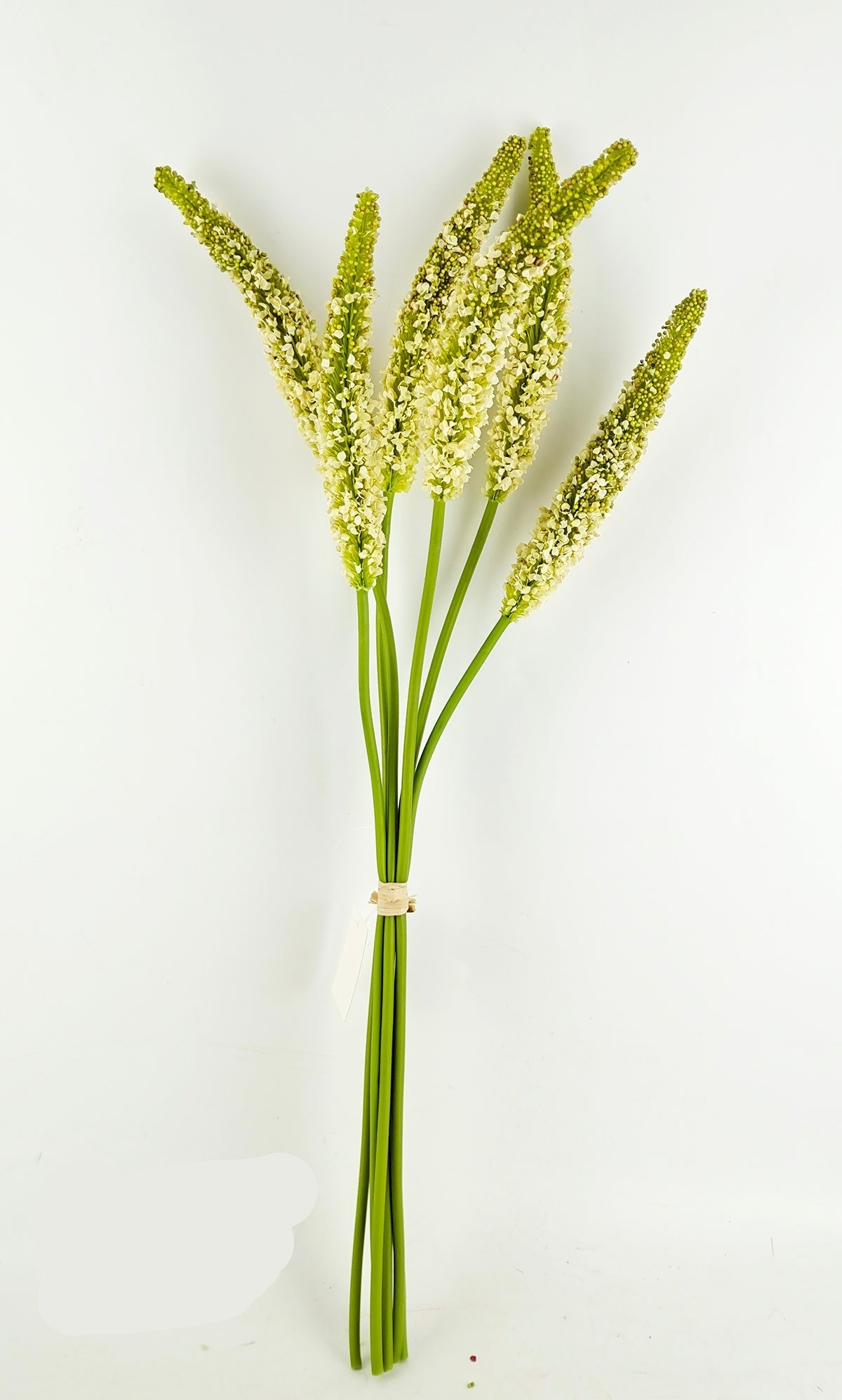 PA10458 SORGHUM BUNDLEx5 28"