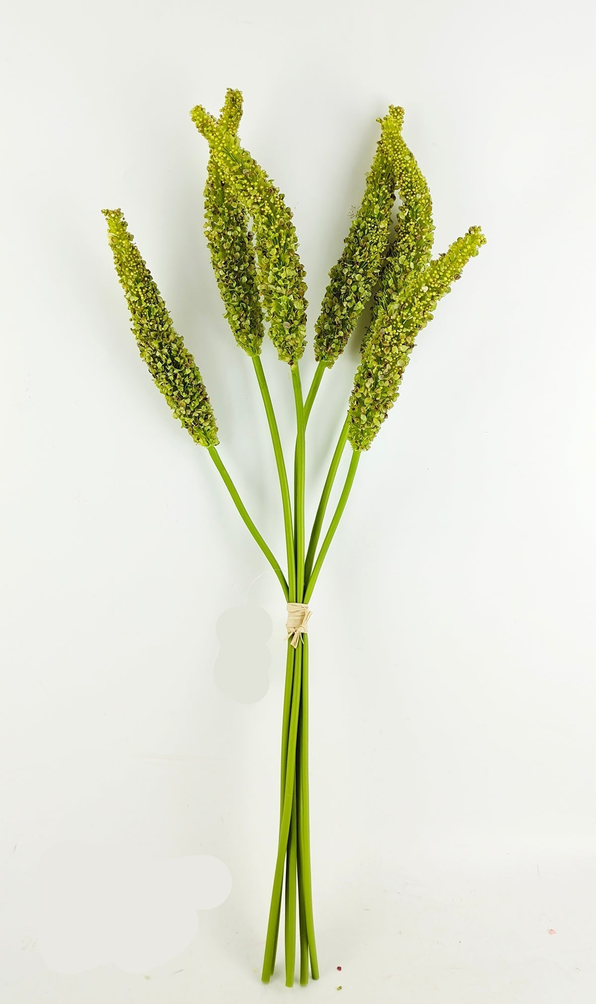 PA10458 SORGHUM BUNDLEx5 28"