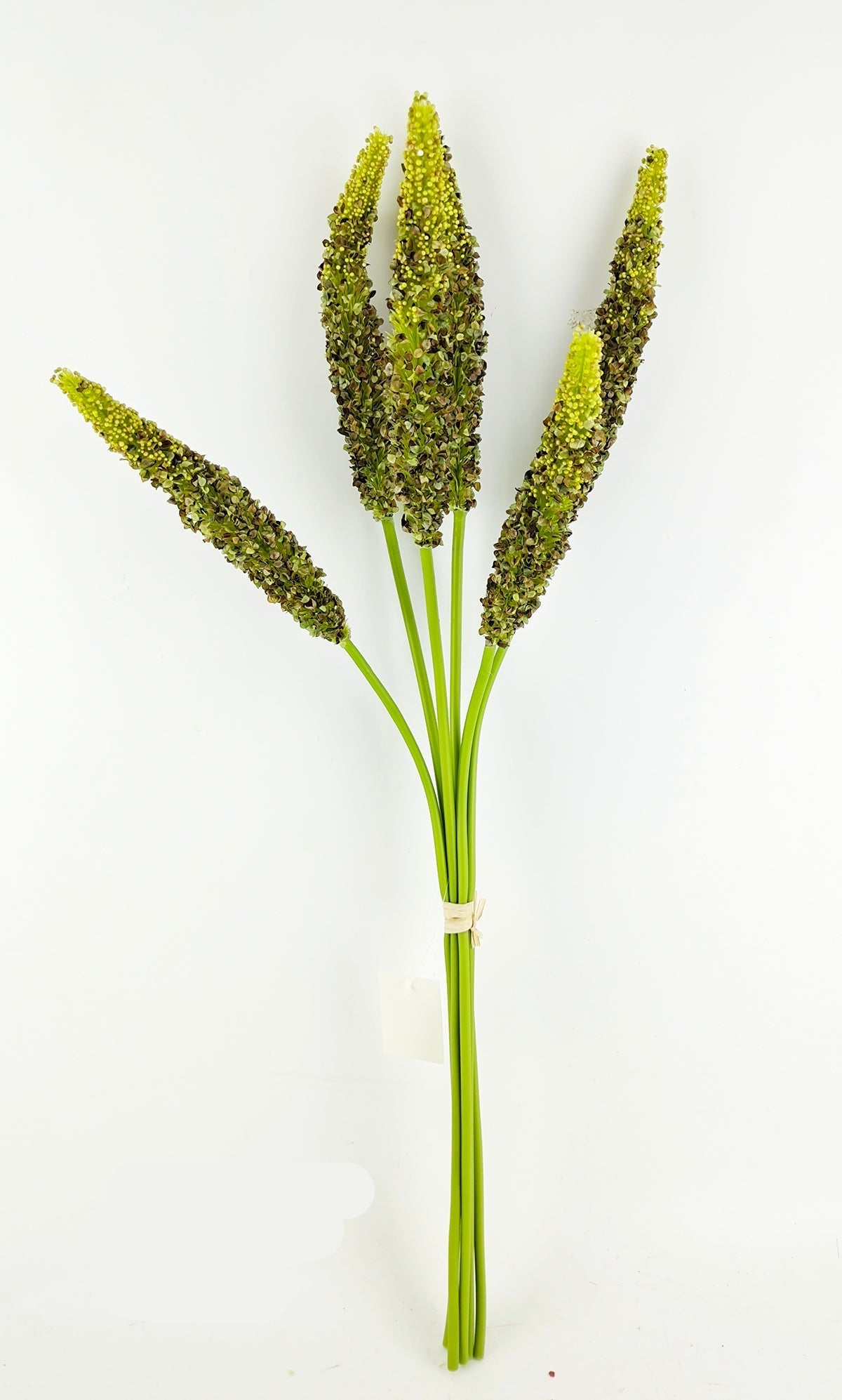 PA10458 SORGHUM BUNDLEx5 28"