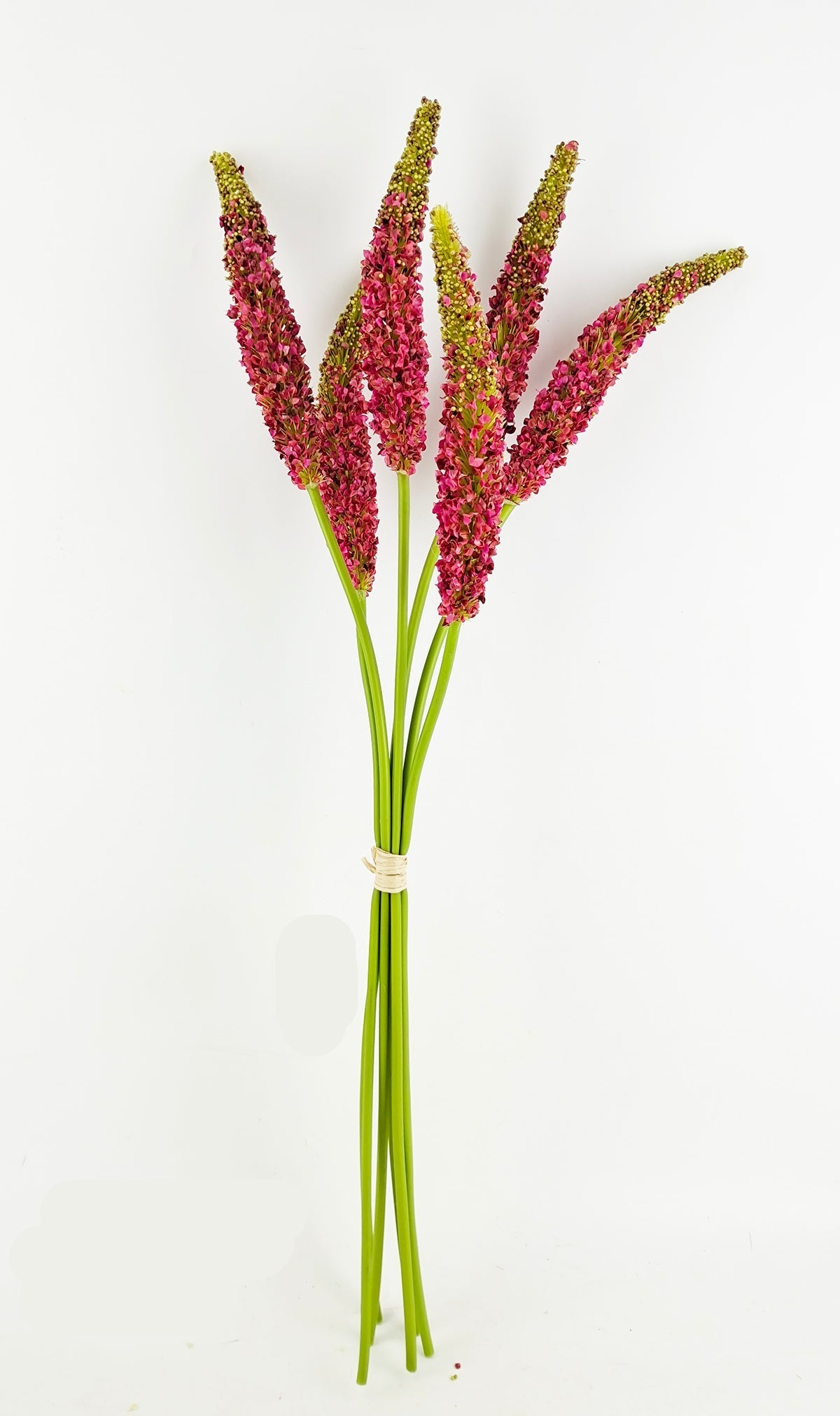 PA10458 SORGHUM BUNDLEx5 28"