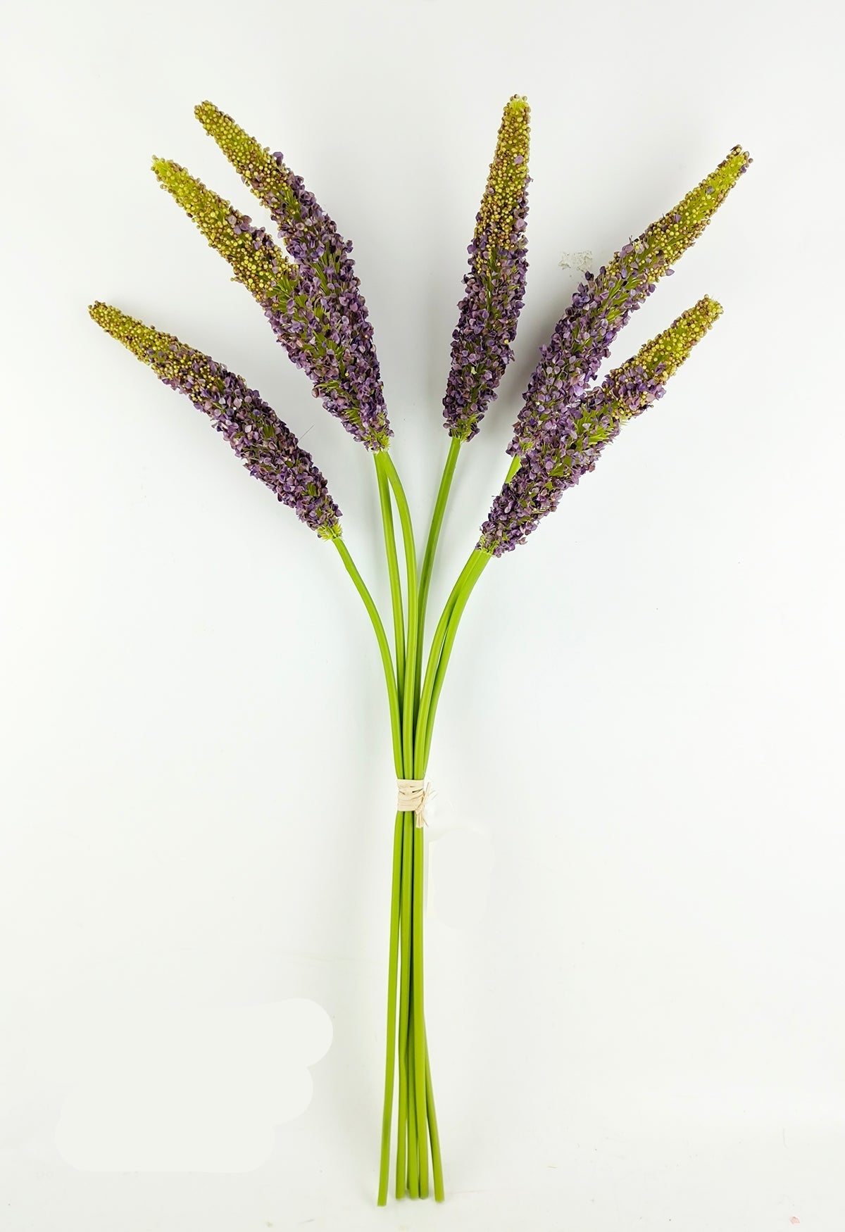 PA10458 SORGHUM BUNDLEx5 28"