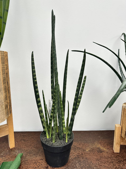 PM10155 POTTED SNAKE PLANT,27"