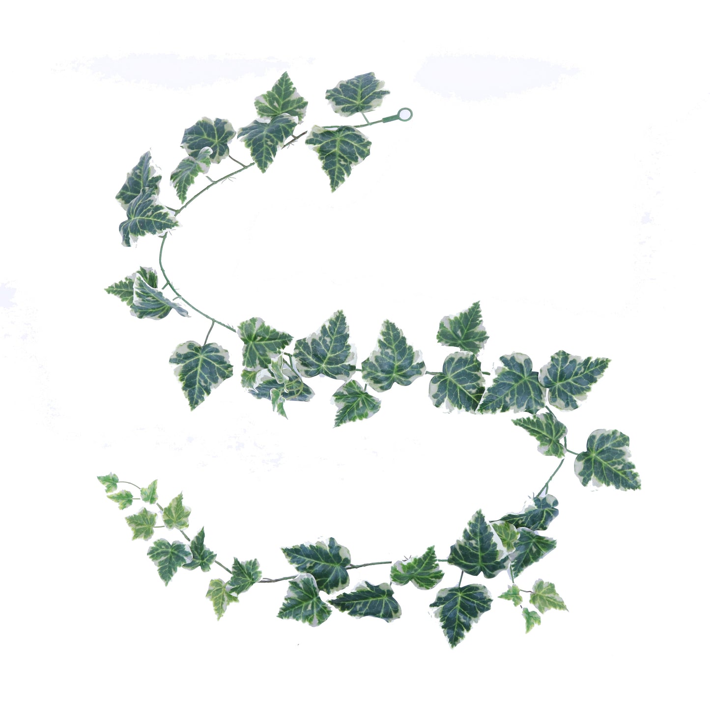 PM10251 ENGLISH IVY GARLAND,6'-12P/72/11.3'