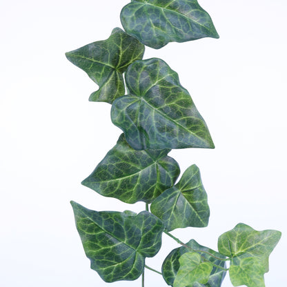 PM10251 ENGLISH IVY GARLAND,6'-12P/72/11.3'