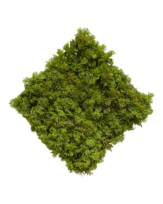 PM10291 MOSS MAT(UV,FIRE-RETARDANT),10in-40