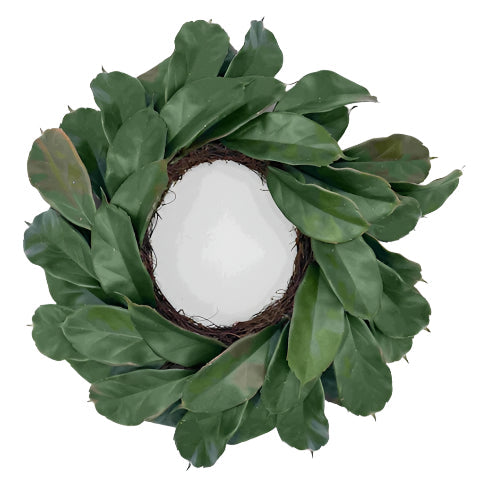 PM10403 MAGNOLIA LVS WREATH 20"