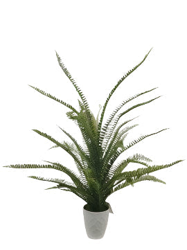 PM10505 POTTED FERN,3'
