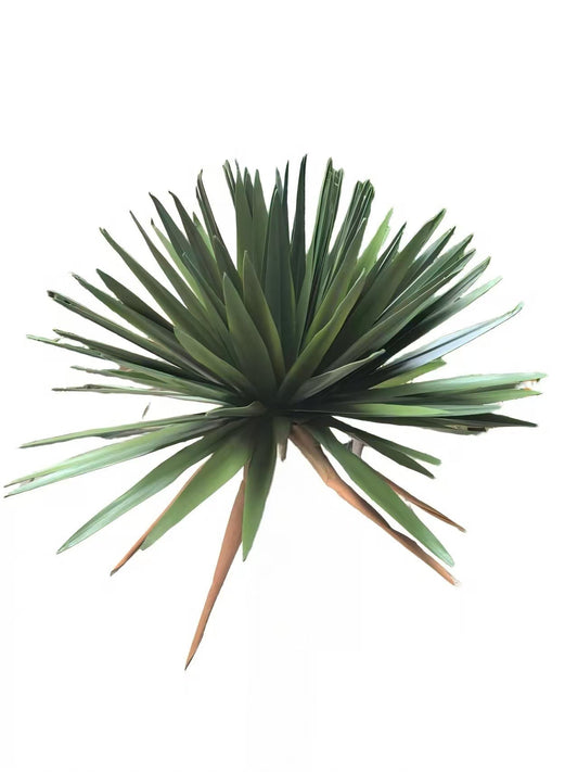 PM10522 BEAKED YUCCA BUSH (UV),14"