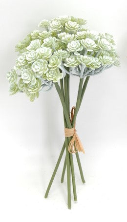 PM10532 SEDUM BUNDLEx6,12"