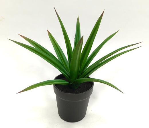 PM10536 POTTED AGAVE,19"