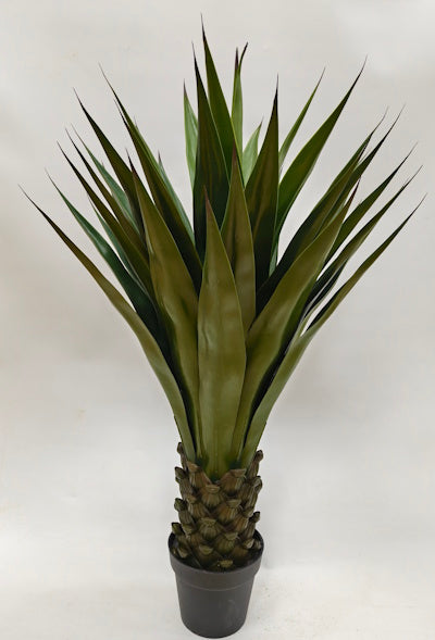 PM10537 POTTED AGAVE,43"