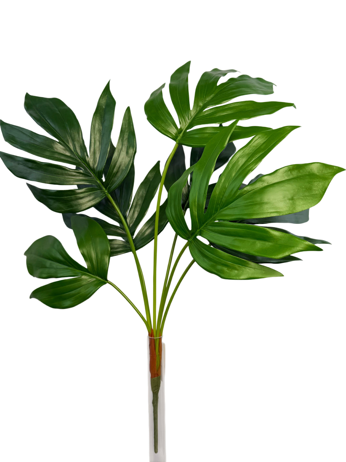 PM10609 EPIPREMNUM PINNATUM BUSH 35"