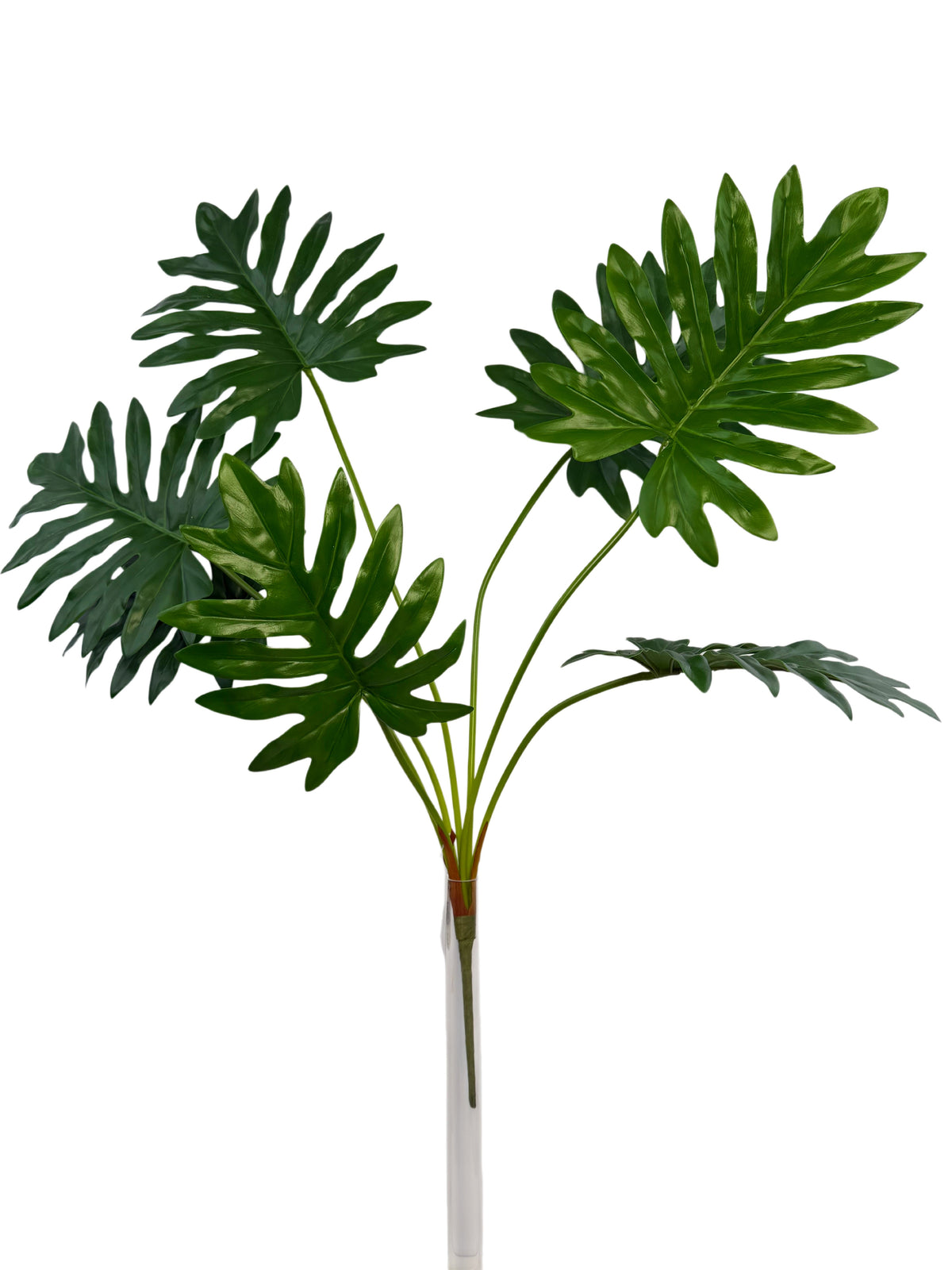 PM10610 PHILODENDEON BUSH 35"