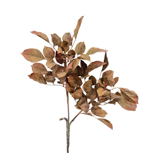 AU10032 FR BEECH LEAF SPRAY,36"