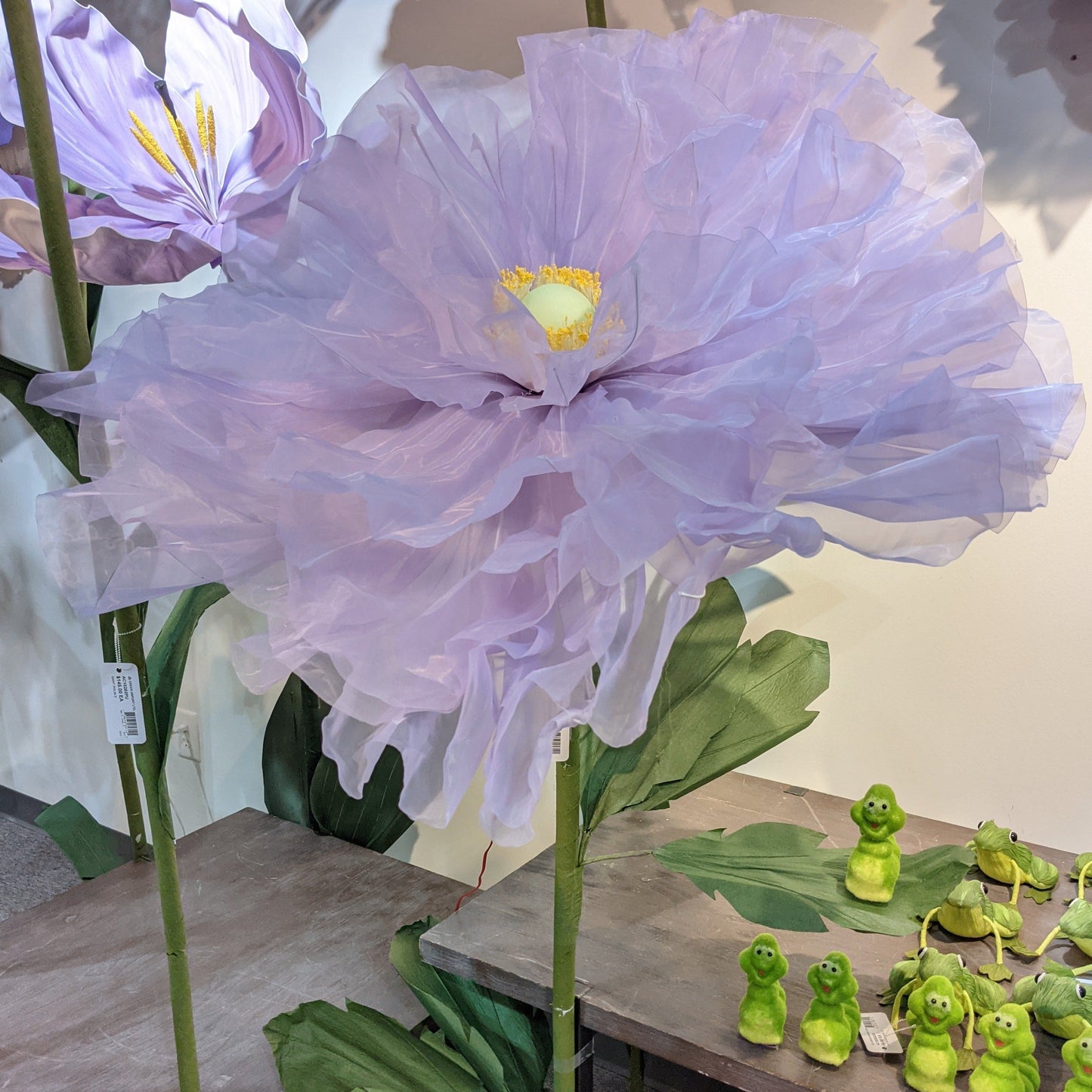 AC10251 GIANT LACE POPPY,6'