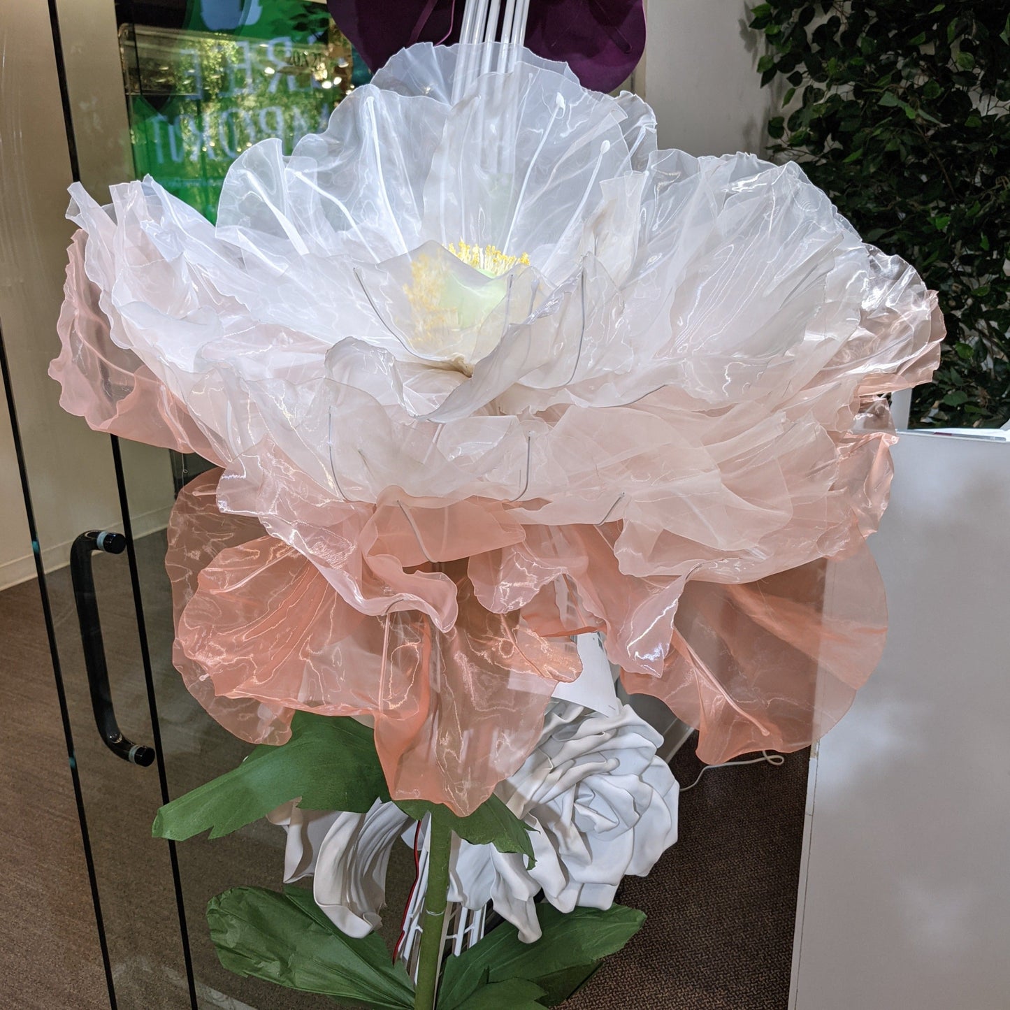 AC10251 GIANT LACE POPPY,6'