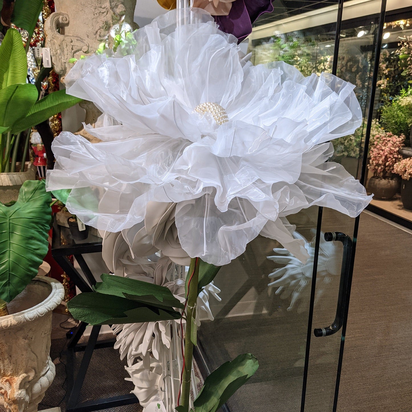 AC10251 GIANT LACE POPPY,6'