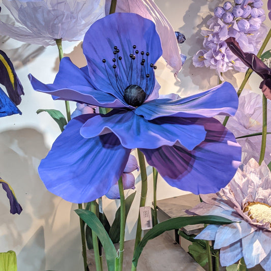 AC10257 GIANT POPPY,63in-1P