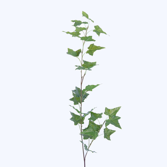 SY10306 IVY SPRAY,48in-12P/72/6.39'