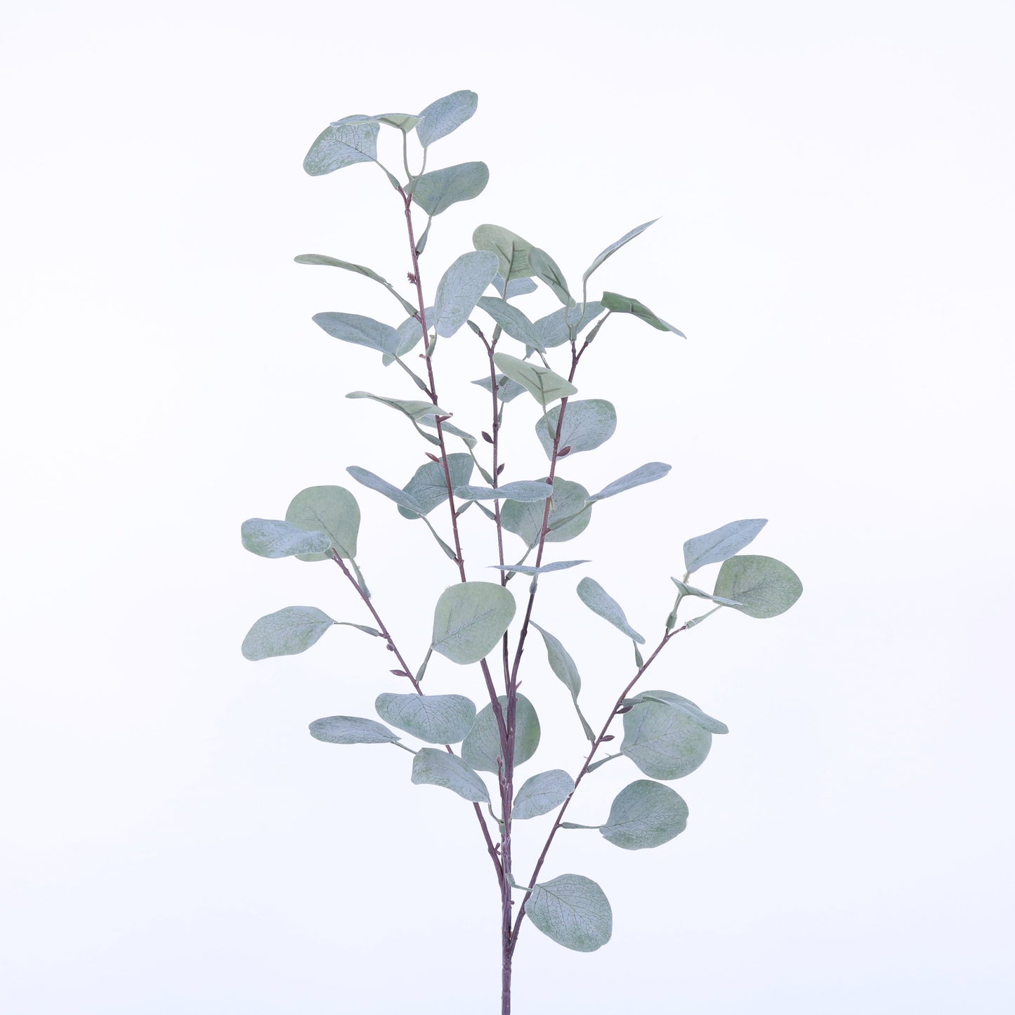 SY10701 EUCALYPTUS SPRAYx4,35.5in-24P/192