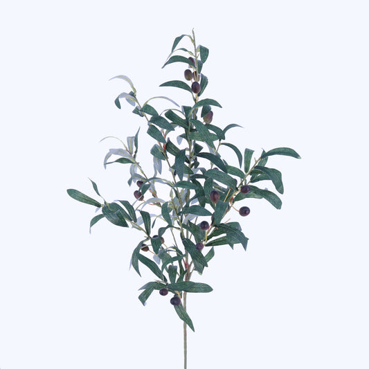 SY10705 OLIVE SPRAY w/OLIVE,40in-12P/72