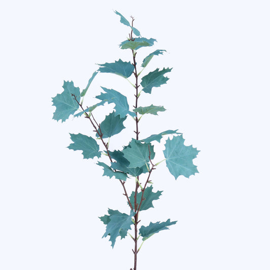 SY10767 MAPLE LEAVES SPRAY,46in-12P/120