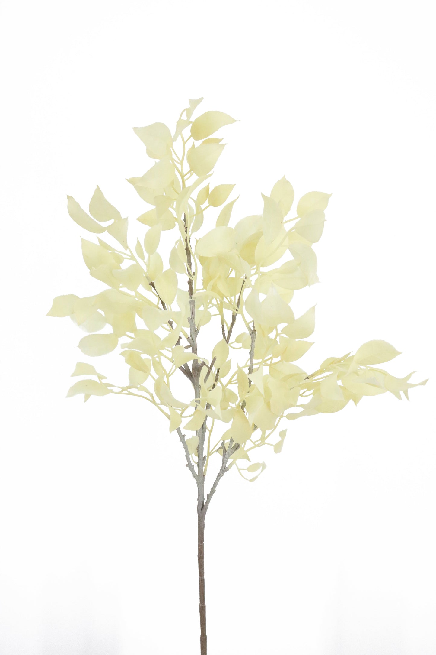 SY10842 FICUS LEAF SPRAY,29in-12P/144/9.75'