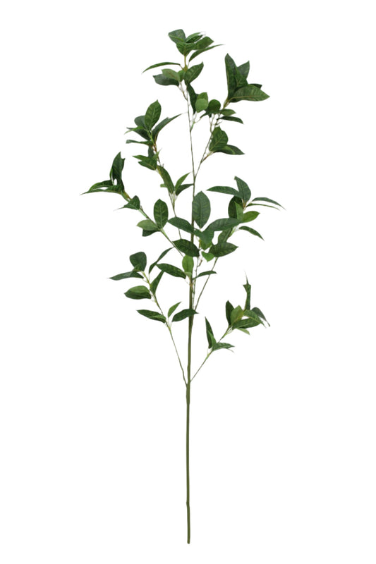 SY11066 BAY LEAF CASING SPRAYx4,49in-12/96P
