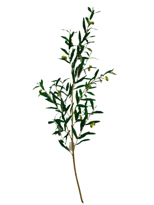 SY11073 OLIVE BRANCH,53"