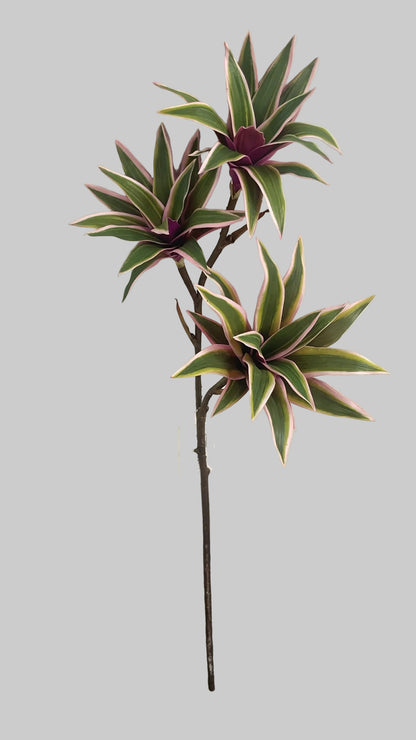 SY11136  TRADESCANTIA SPRAYx'3 32"