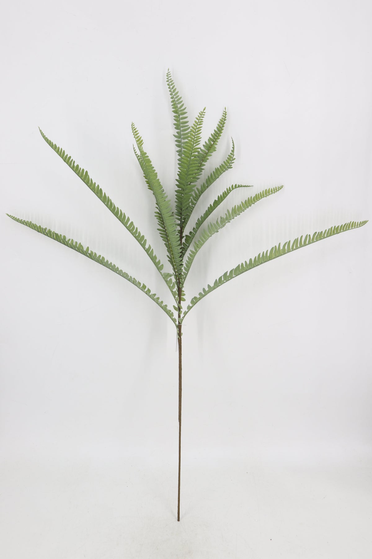 SY11231 BOSTON FERN SPRAY 42"