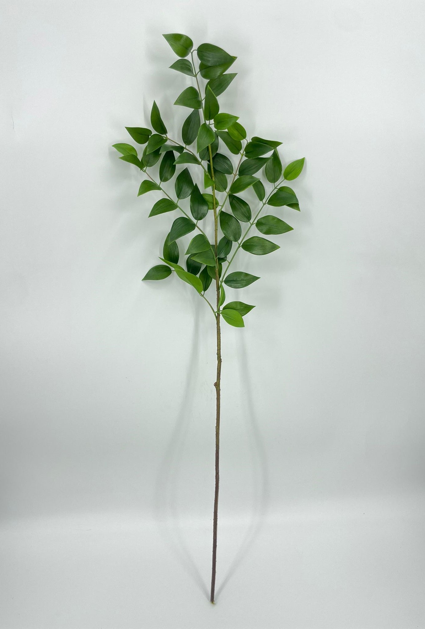SY11241 SMILAX SPRAY  48"