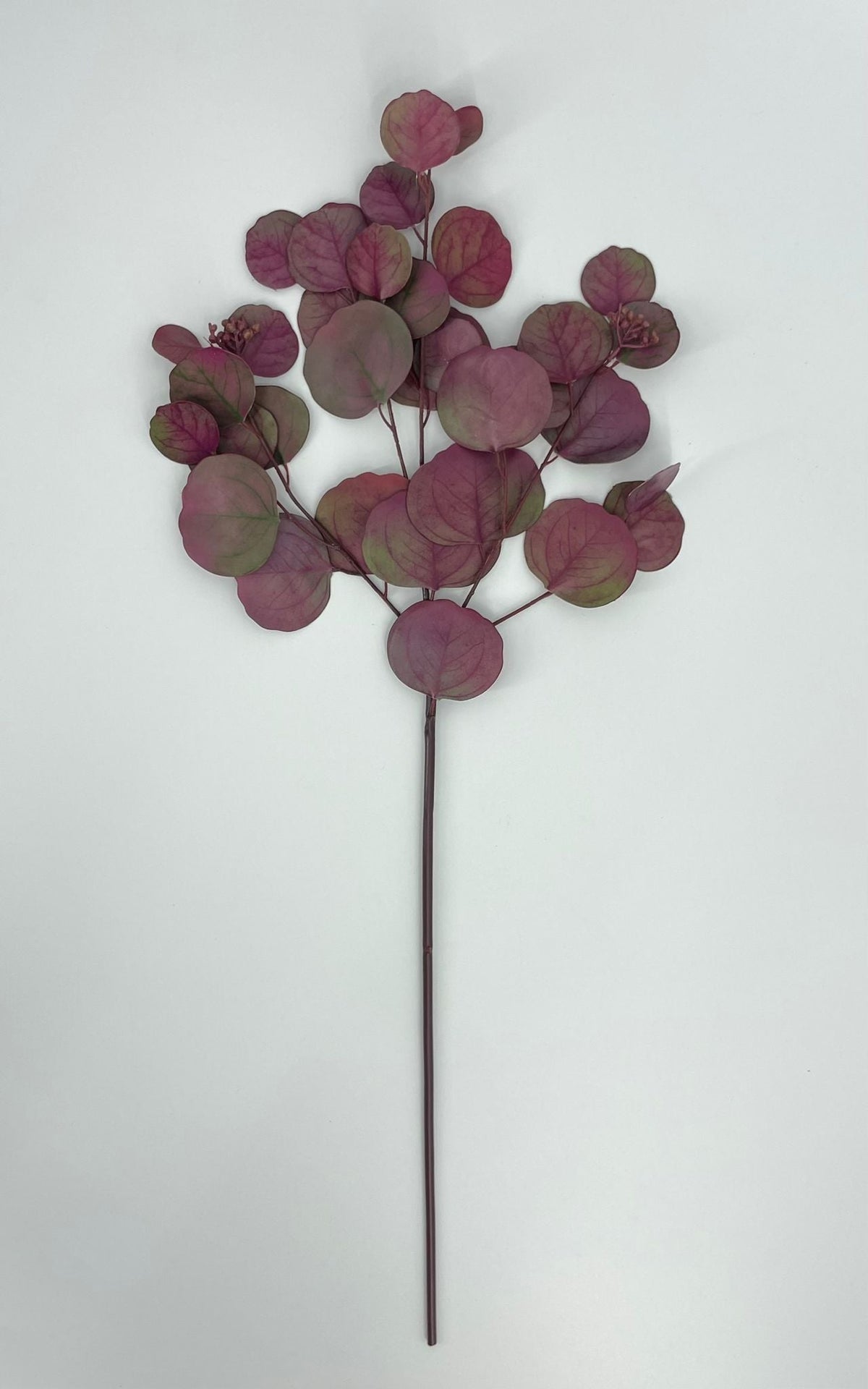 SY11243 DOLLAR EUCALYPTUS SPRAY  26"