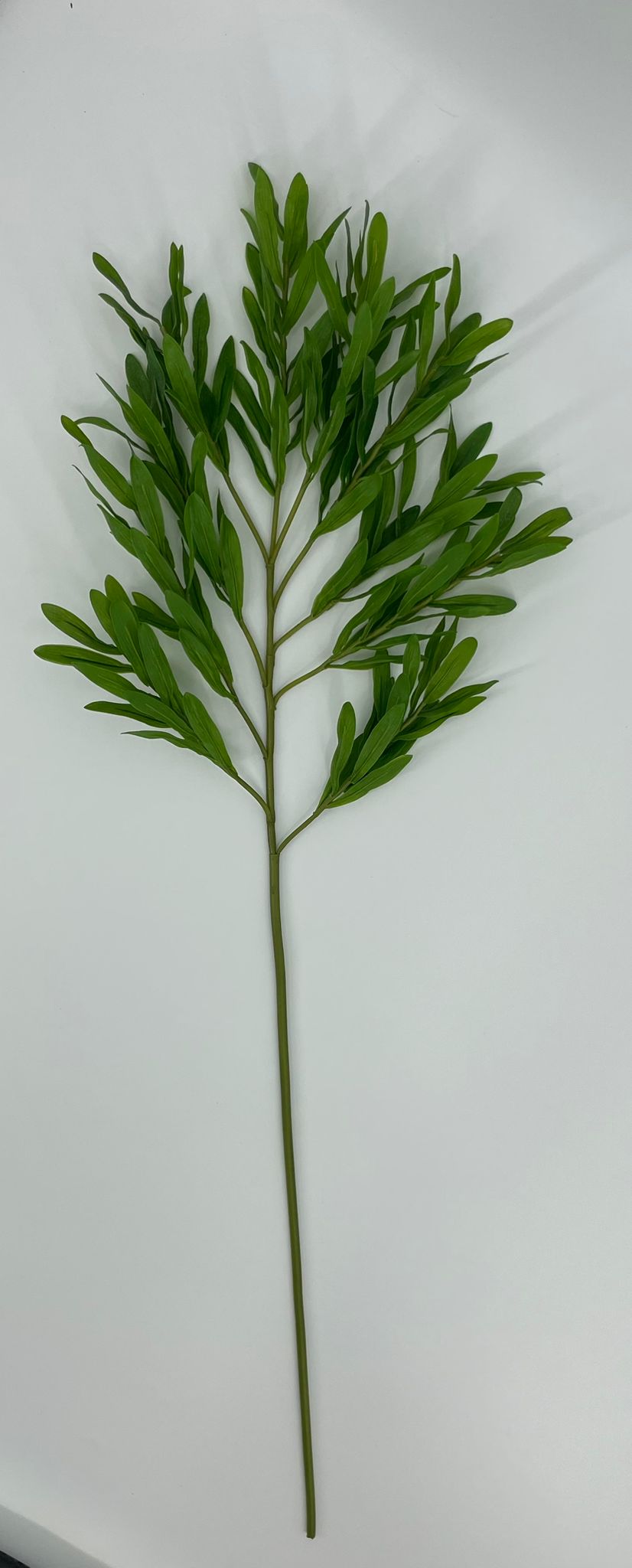 SY11245 OLIVE LEAF SPRAY  38"