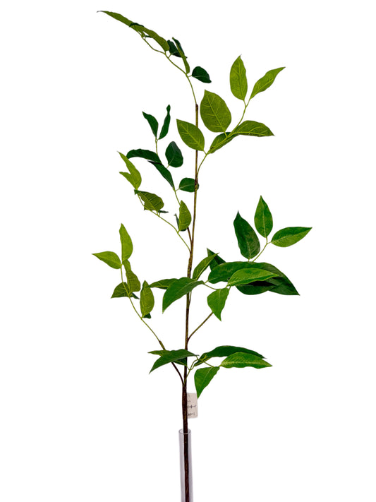 SY11251 SALAL BRANCH 58"