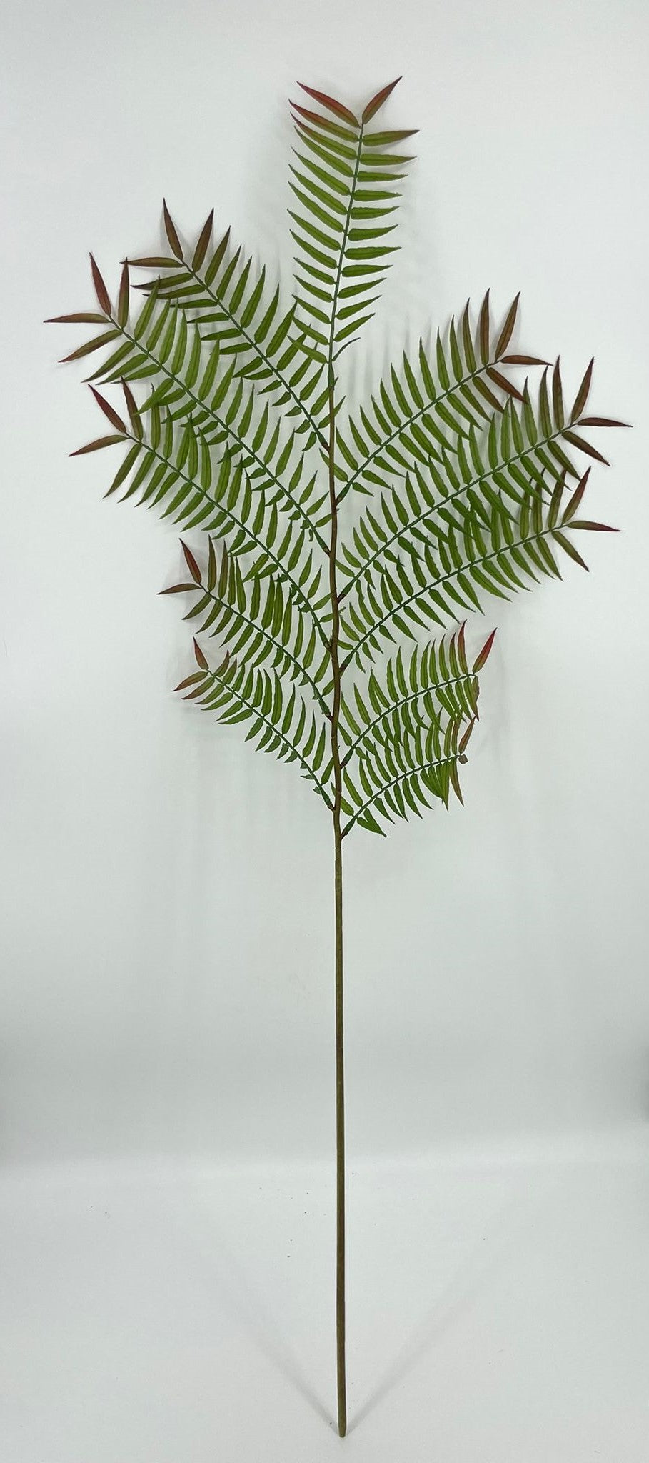 SY11261 PALM BRANCH 67"