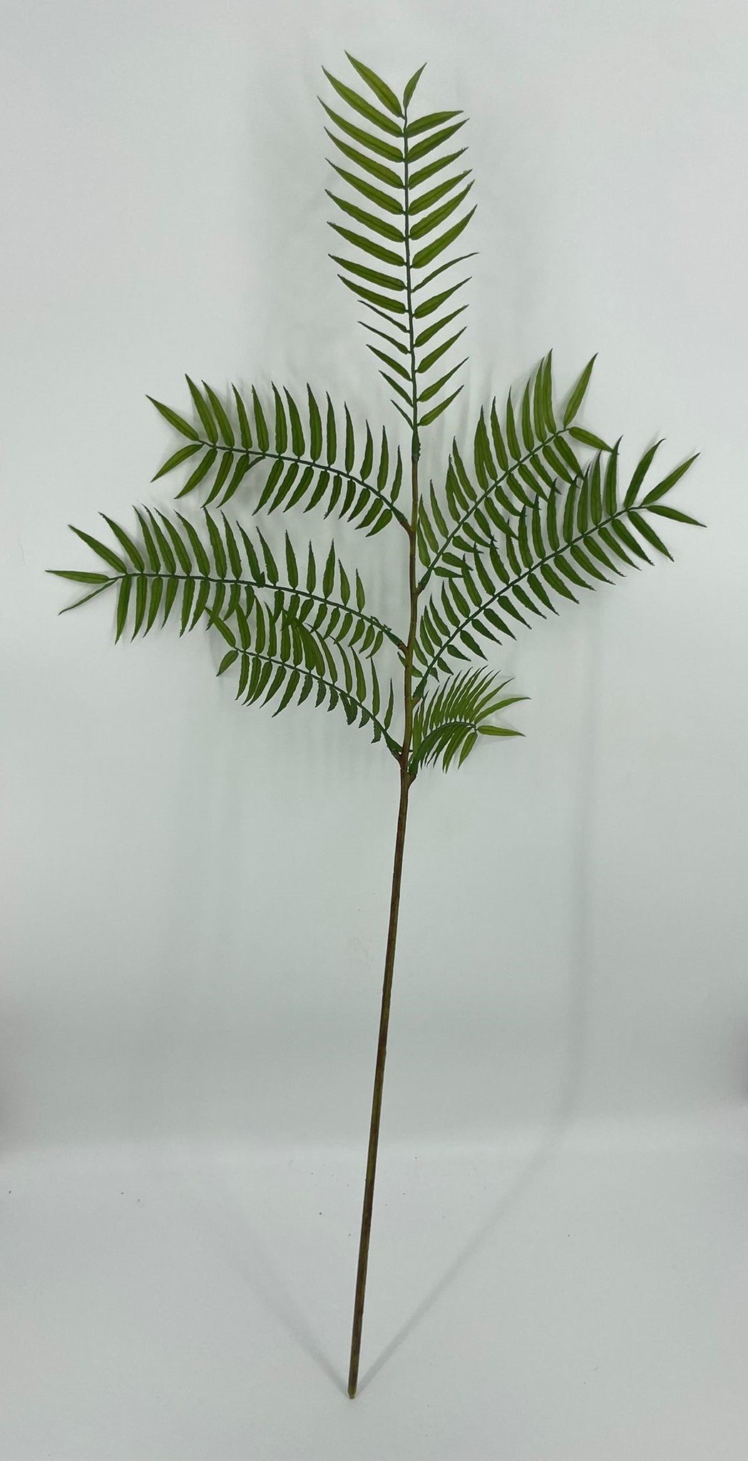 SY11262 PALM BRANCH 63"