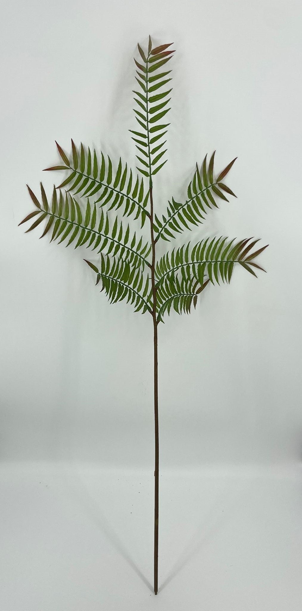 SY11262 PALM BRANCH 63"