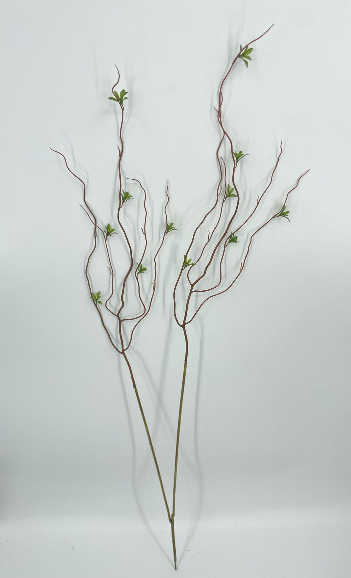 SY11265 CURLY WILLOW BRANCH w/LVS 47"