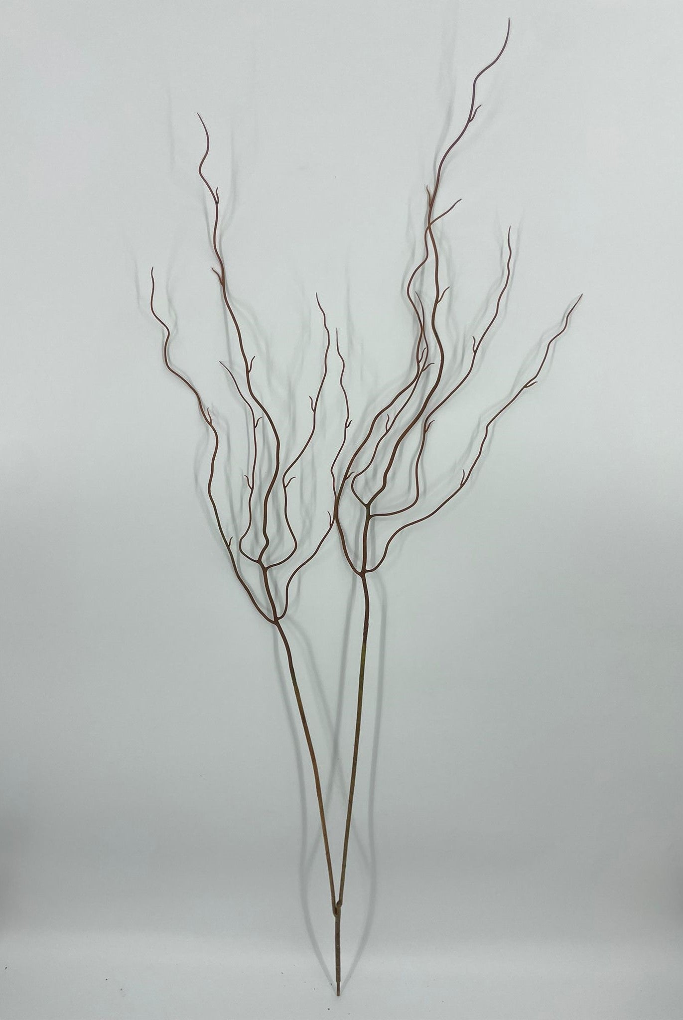 SY11266 CURLY WILLOW BRANCH 47"