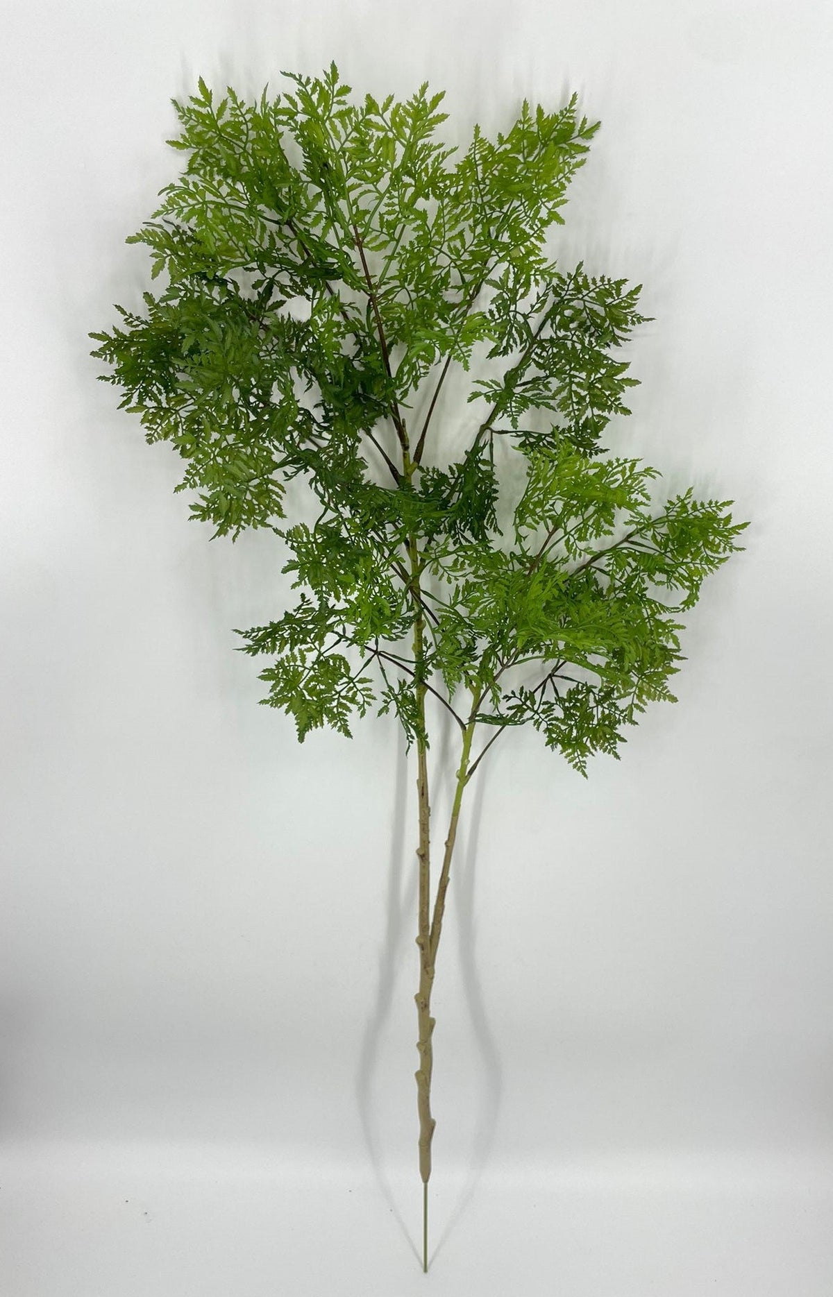 SY11267 MING ARALIA BRANCH 39.5"