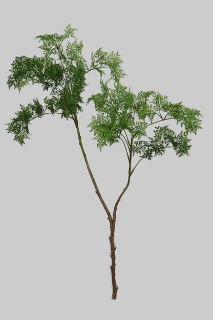 SY11267 MING ARALIA BRANCH 39.5"