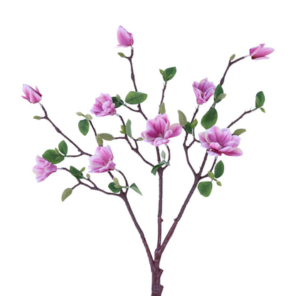 SY20009 MAGNOLIA TREE BRANCH,25in