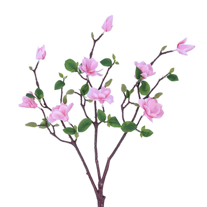 SY20009 MAGNOLIA TREE BRANCH,25in