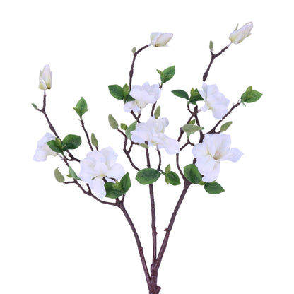 SY20009 MAGNOLIA TREE BRANCH,25in