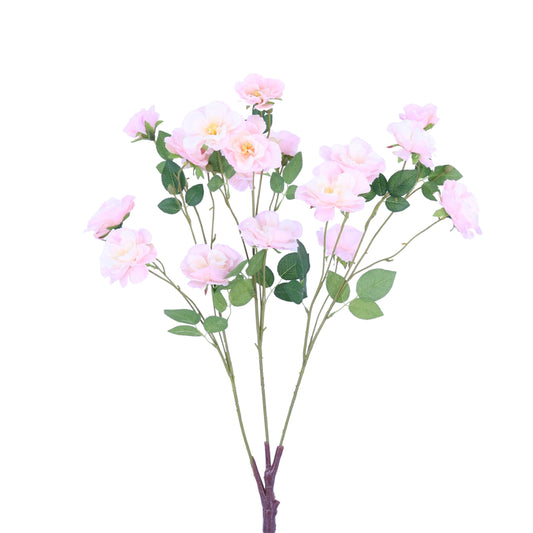 SY20012 ROSE TREE BRANCH,28in