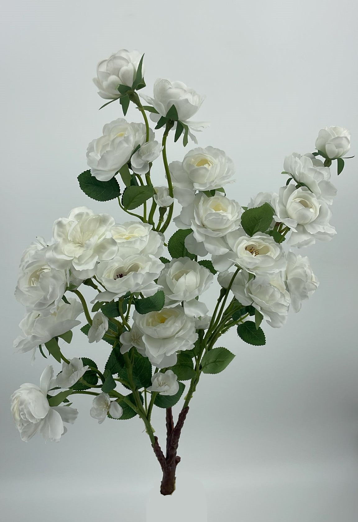 SY20031 CLIMBING ROSE TREE BRANCH  24"