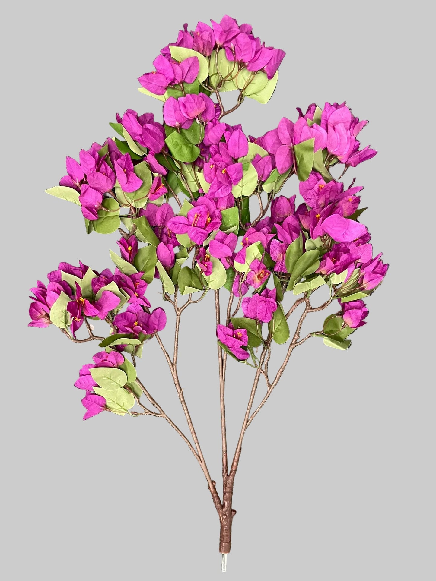 SY20034 BOUGAINVILLEA TREE BRANCH  30"